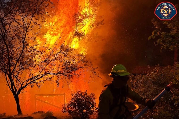Bombeiro de capacete verde segura mangueira diante de labaredas altas que consomem árvores e uma estrutura ao anoitecer