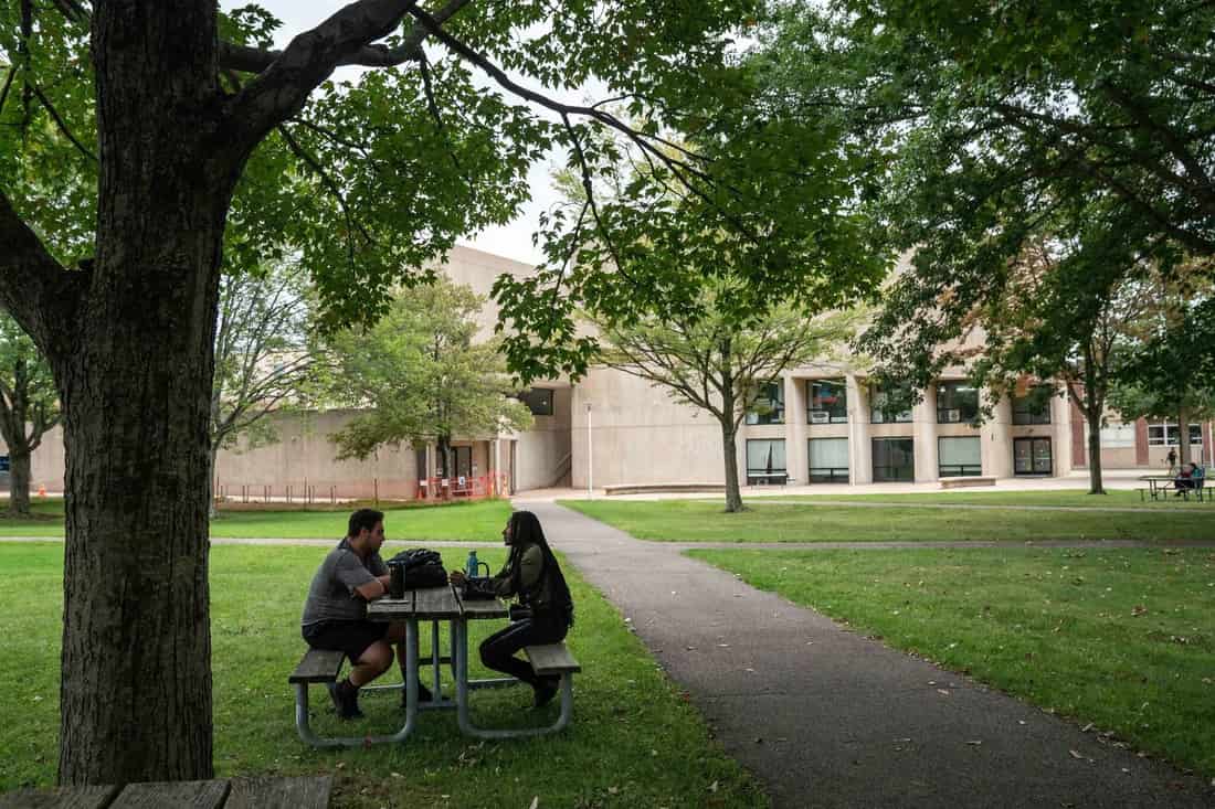 Dois estudantes conversam sentados em uma mesa de piquenique sob uma árvore no gramado de um campus universitário, com prédio de concreto ao fundo