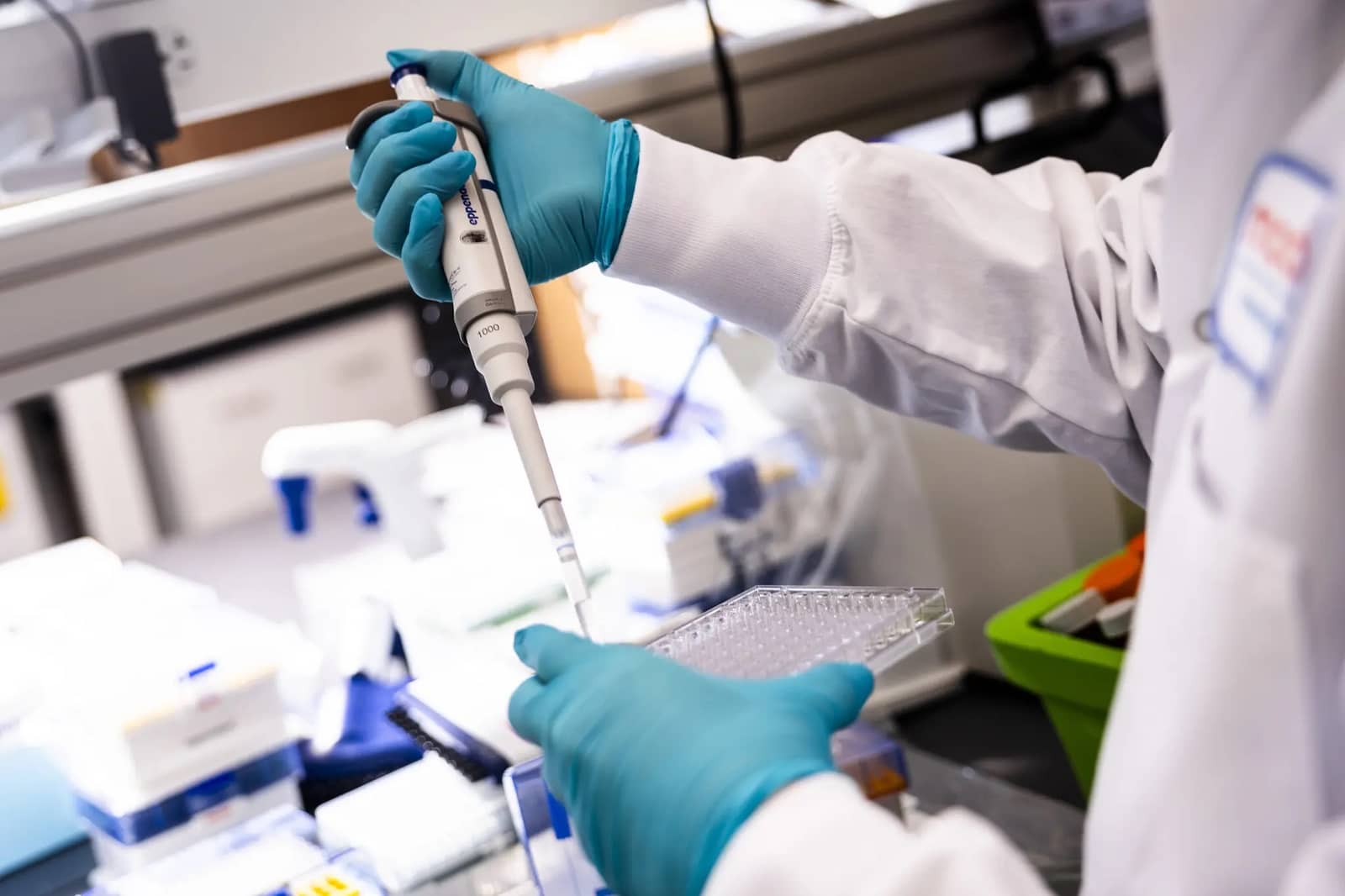 Mãos com luvas azuis de laboratório usam uma pipeta sobre uma placa de microtitulação, em bancada com materiais de análise