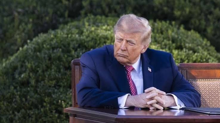 Donald Trump, de terno azul, gravata rosa e as mãos unidas, sentado a uma mesa ao ar livre, diante de arbustos