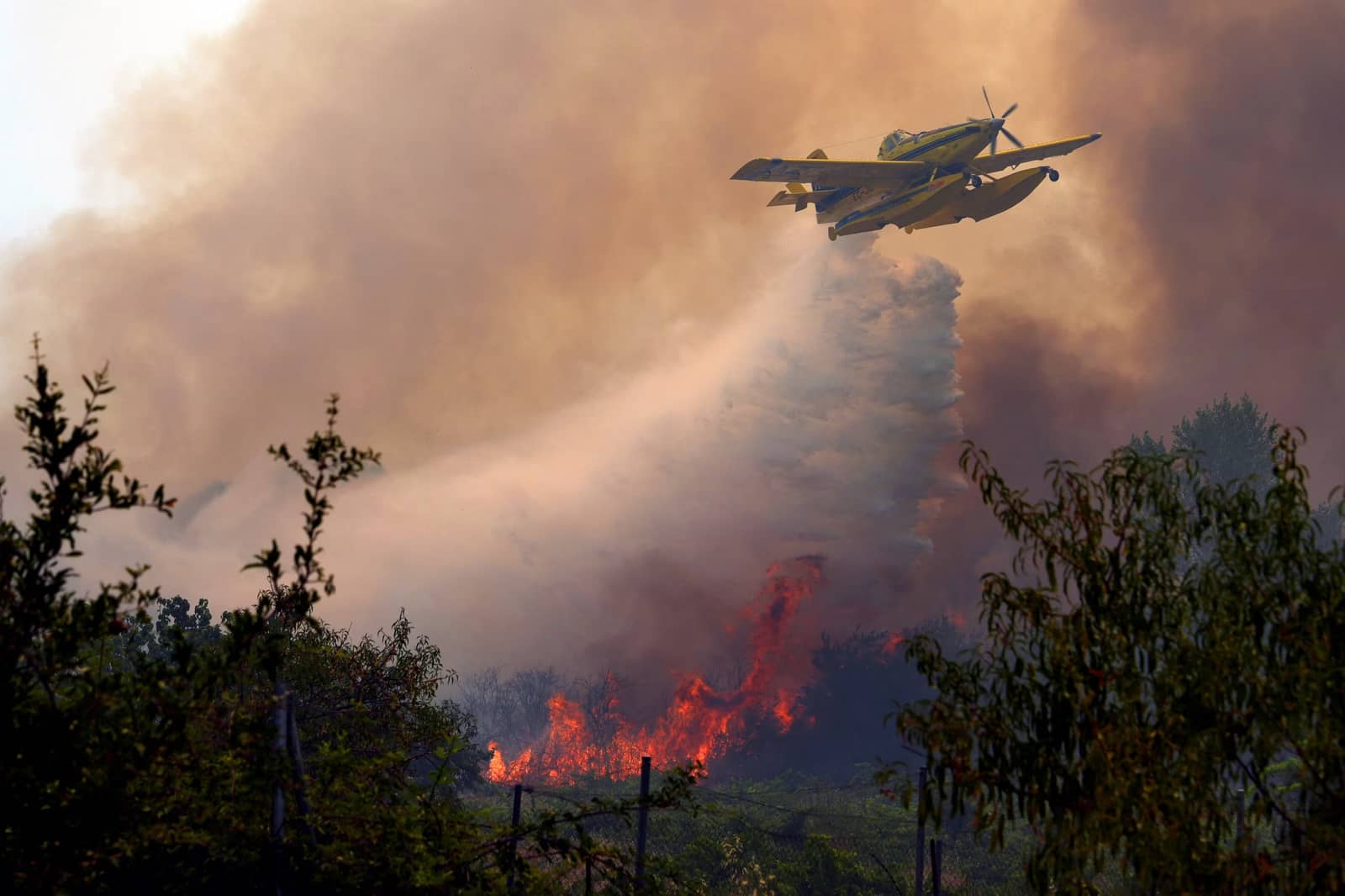 Avião de combate a incêndio amarelo despeja água sobre chamas altas em área de vegetação tomada por fumaça densa